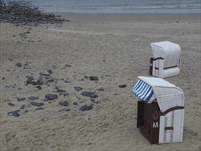 Two white beach chairs on an empty beach, some stones in the sand and the calm sea in the