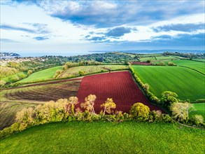 Fields and Farms over Torquay from a drone, Devon, England, United Kingdom, Europe