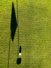 Golf Ball on Putting Green with Shadow and Shadow of a Golf Flag and Golf Club Putter in a Sunny