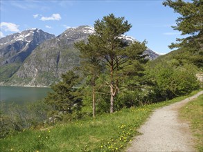 Path along a lake surrounded by mountains and trees under a clear sky, spring landscape by the sea