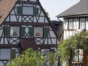 Close-up of half-timbered houses with striking green shutters, surrounded by plants, old