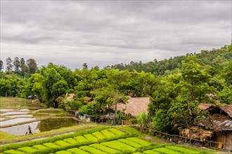 Landscape of Five Hill Traibes Village house and rice paddies with unidentified man working in the