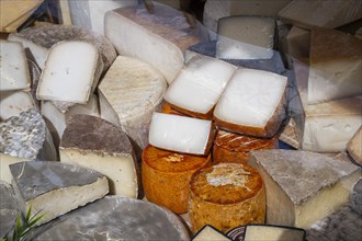 Various cheeses, market, Montparnasse, Paris, France, Europe
