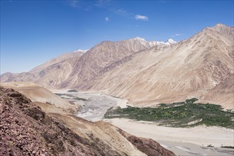 Nubra Valley, Ladakh, Jammu and Kashmir, Indian Himalayas, North India, India, Asia