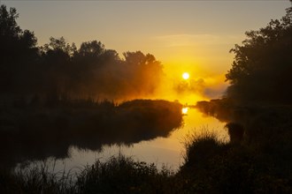 Morning atmosphere, fog, sunlight, backlight, water, Lower Austria