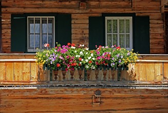 Farm, flower box, balcony window, Pertisau, Tyrol, Austria, Europe