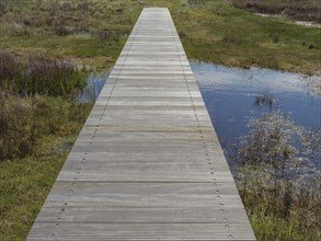 A wooden path crosses a marshy area with green grass and small patches of water, cloudy sky, wooden