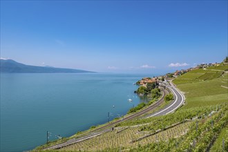 View of Lake Geneva surrounded by mountains, with vineyards and a village along a winding road