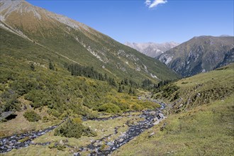 Mountain stream in green high valley with mountains, Keldike Valley on the way to the Ala Kul Pass,