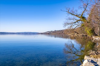View of Lake Sempach with blue sky, Sempach, Switzerland, Europe
