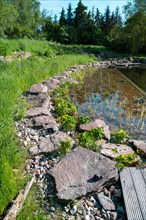 Pond in a natural garden, practical nature conservation, biotope for insects, amphibians and birds,