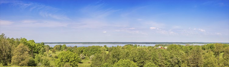 Panoramic view at a lake with a deciduous forest in the foreground a beautiful sunny summer day,