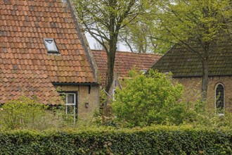 Houses with tiled roofs and green hedges in the foreground, surrounded by trees, old houses with