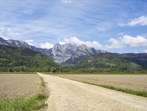 Field path leads through farmland, mountain range behind, near Woerschach, Ennstal, Styria,