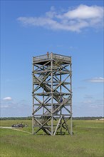 Elbe cycle path, Mahnkenwerder observation tower near Boizenburg, Mecklenburg-Western Pomerania,