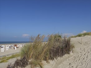 Beach with dunes and grass, sea and blue sky in the background, dunes and beach at the sea with