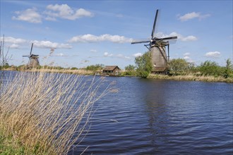 Two windmills next to a body of water, surrounded by reeds under a cloudy sky, many historic