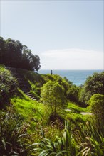 Woman standing at a viewpoint with a paradisiacal view of the beach and the sea. Taken in Tauranga,