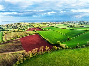 Fields and Farms over Torquay from a drone, Devon, England, United Kingdom, Europe