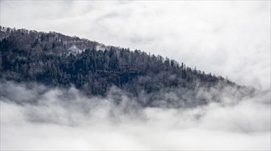 Wooded mountain looks out of cloud cover, view from Ettaler Manndl, high fog in the valley,