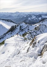 Hikers in winter descending the Aiplspitz, Mangfall mountains, Bavarian Prealps, Bavaria, Tyrol,