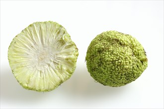 Hedge apple (Maclura pomifera), whole and halved fruit on a white background