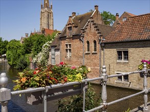 Idyllic view of a canal, lined with flowers and historic brick houses, under a sunny sky, Historic