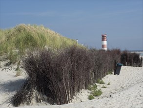 A peaceful beach with dunes in the foreground, a lighthouse in the background and blue sky, dune