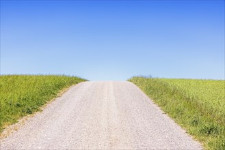 Gravel road on a hill a sunny summer day with a clear blue sky