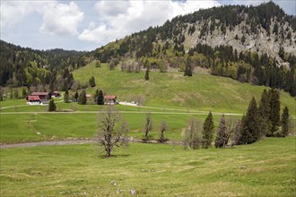 Rohrmoos, Rohrmoostal, Oberallgaeu, Allgaeu, Bavaria, Germany, Europe