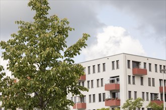 Modern residential building, apartment block, in the city with street tree, Freiburg,