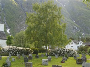 Rural cemetery with gravestones, green trees and flowers against a picturesque mountain backdrop,