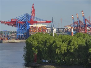 Container harbour with red and blue cranes, containers and trees under a blue sky, cranes and ships