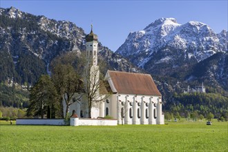 Pilgrimage church of St Coloman in spring, behind Neuschwanstein Castle, Schwangau, Fuessen,