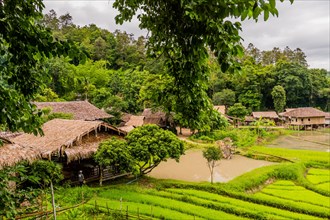 Landscape of rice paddies and buildings located at Chiang Doa Five Hill Tribes Village in Thailand