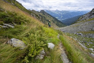 Mountaineer on a hiking trail, mountain landscape with green meadows, ascent to Schoenjochl,