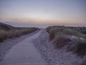 Wooden path through sand dunes at sunset, leading to the sea under a twilight sky, setting sun on a