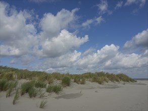 Beach with dunes and grass under a cloudy blue sky, lonely beach with dune grass in the