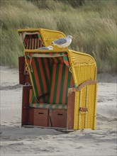 A yellow beach chair with a seagull standing in front of an open dune landscape, colourful beach
