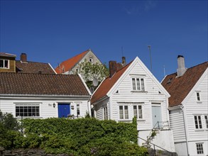 White houses with tiled roofs and vegetation against a blue sky, white wooden houses with red roofs