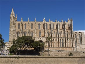 Large Gothic building with high towers and palm trees in the foreground under a clear blue sky,