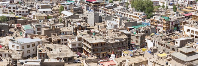 Sea of houses in Leh, Ladakh, Jammu and Kashmir, India, Asia