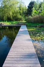 Footbridge at the pond in the natural garden, practical nature conservation, biotope for insects,