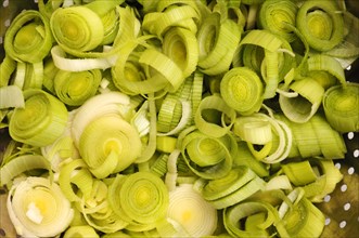 Sliced leek (Allium porrum)