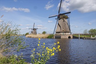 Two windmills on a quiet river, surrounded by blooming flowers and a peaceful natural landscape