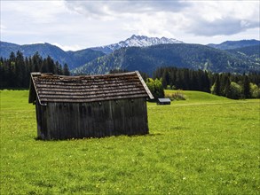 Hay barn on a meadow, with the Kammspitze in the background, near Bad Mitterndorf, Styria, Austria,