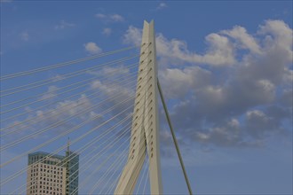 Detailed view of a bridge with blue sky and clouds, skyline of a modern city on a river with a