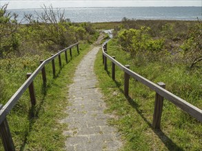 Stone path leads through a meadow to the sea under a clear sky, dune and beach by the sea with