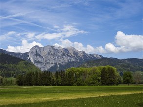 Meadow at the edge of the forest, mountain range behind, near Woerschach, Ennstal, Styria, Austria,