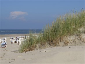 Beach chairs on the sandy dune edge in front of a clear blue sky and sea, dunes and beach at the